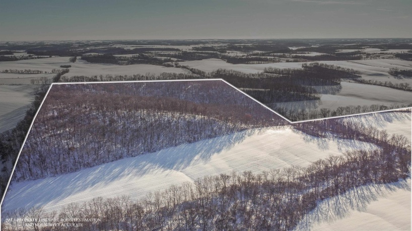 TBD Hairpin, STOCKTON, Illinois 61085, ,Land,For Sale,Hairpin,202507495