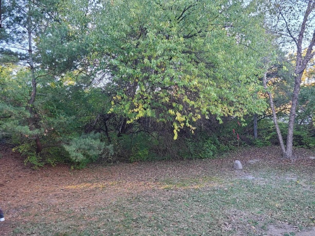 2871 777TH, Utica, Illinois 61373, 3 Bedrooms Bedrooms, ,2 BathroomsBathrooms,House,For Sale,777TH,202507503