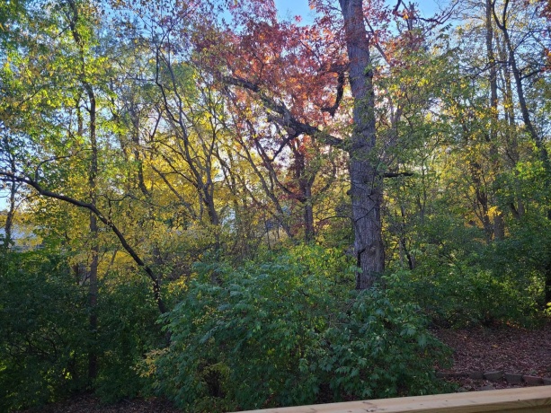 2871 777TH, Utica, Illinois 61373, 3 Bedrooms Bedrooms, ,2 BathroomsBathrooms,House,For Sale,777TH,202507503