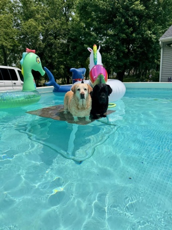 11371 HAVENSWOOD, ROSCOE, Illinois 61073, 2 Bedrooms Bedrooms, ,1 BathroomBathrooms,House,For Sale,HAVENSWOOD,202501428