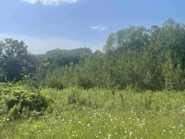 7 Harmony, GALENA, Illinois 61036, ,Land,For Sale,Harmony,202507554
