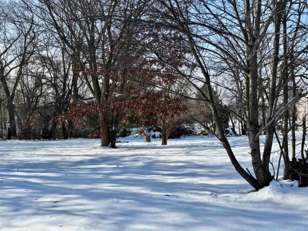 501 Pierpont, ROCKFORD, Illinois 61102, 3 Bedrooms Bedrooms, ,1 BathroomBathrooms,House,For Sale,Pierpont,202507577