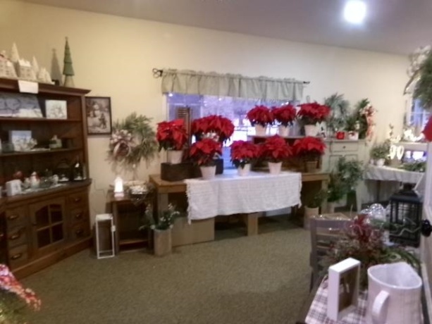 411 Meadows, FREEPORT, Illinois 61032, ,Commercial,For Sale,Meadows,202507584