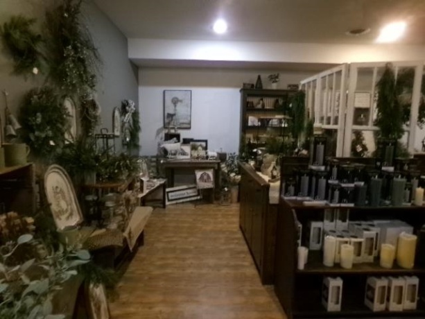 411 Meadows, FREEPORT, Illinois 61032, ,Commercial,For Sale,Meadows,202507584