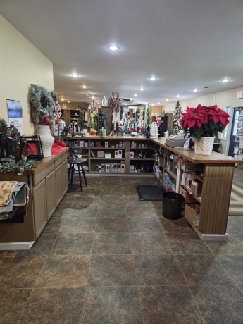 411 Meadows, FREEPORT, Illinois 61032, ,Commercial,For Sale,Meadows,202507584