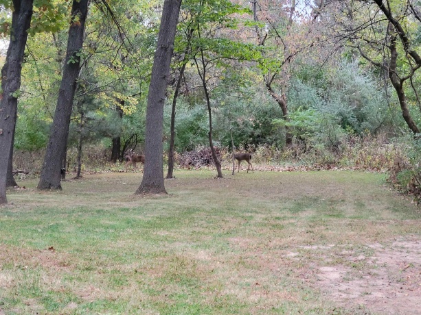 13 Birch, Putnam, Illinois 61560, 3 Bedrooms Bedrooms, ,1 BathroomBathrooms,House,For Sale,Birch,202507588