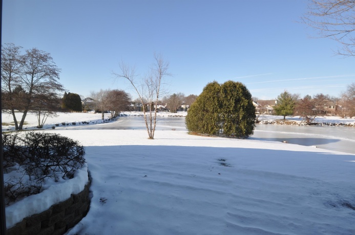 6430 OLD HUNTERS RUN, ROCKFORD, Illinois 61114, 2 Bedrooms Bedrooms, ,3 BathroomsBathrooms,Condominium,For Sale,OLD HUNTERS RUN,202507596