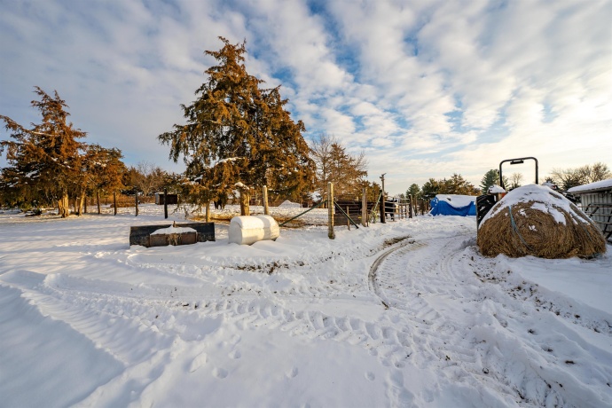 7965 Adeline, LEAF RIVER, Illinois 61047, 3 Bedrooms Bedrooms, ,1 BathroomBathrooms,House,For Sale,Adeline,202507601