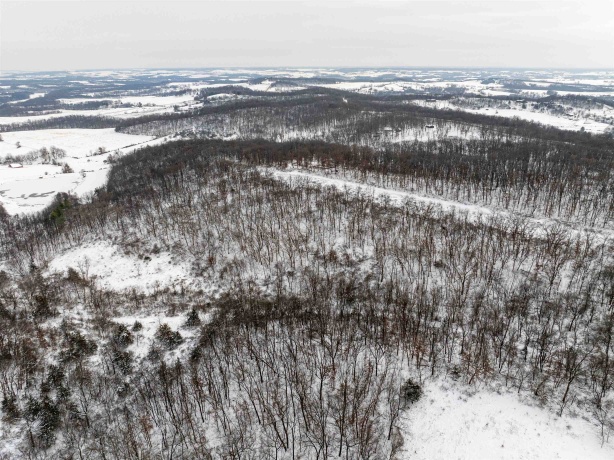 0 Elizabeth Scales Mound, ELIZABETH, Illinois 61028, ,Land,For Sale,Elizabeth Scales Mound,202507628