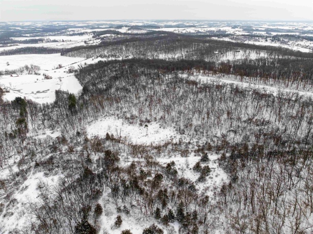 0 Elizabeth Scales Mound, ELIZABETH, Illinois 61028, ,Land,For Sale,Elizabeth Scales Mound,202507628