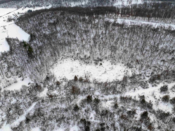 0 Elizabeth Scales Mound, ELIZABETH, Illinois 61028, ,Land,For Sale,Elizabeth Scales Mound,202507628