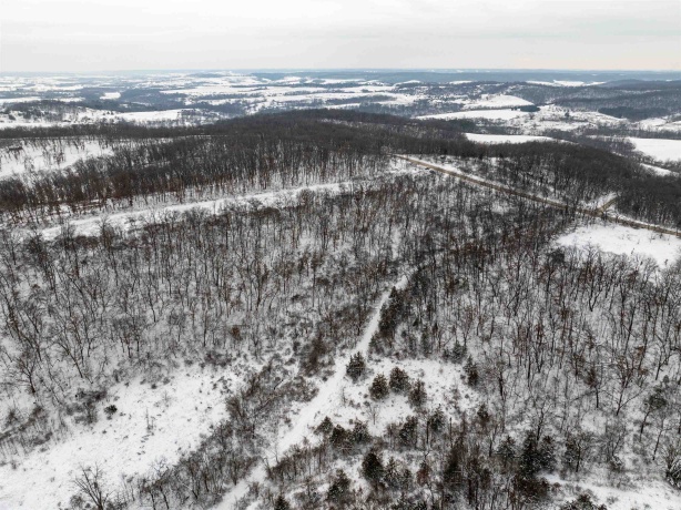 0 Elizabeth Scales Mound, ELIZABETH, Illinois 61028, ,Land,For Sale,Elizabeth Scales Mound,202507628