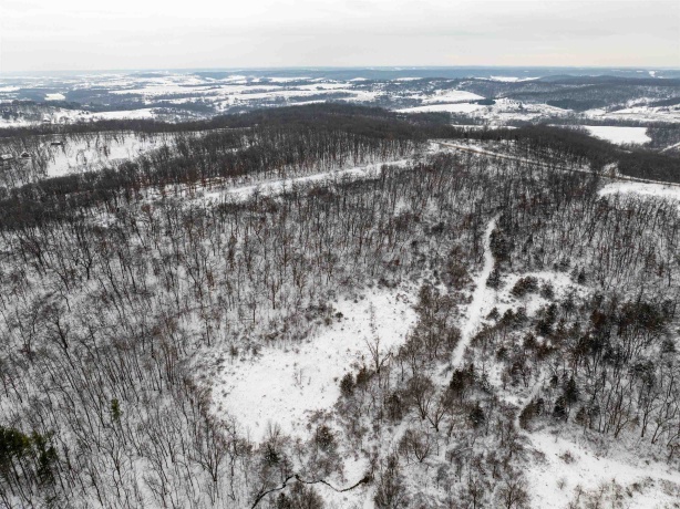 0 Elizabeth Scales Mound, ELIZABETH, Illinois 61028, ,Land,For Sale,Elizabeth Scales Mound,202507628