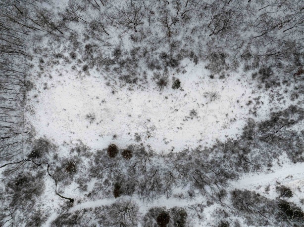 0 Elizabeth Scales Mound, ELIZABETH, Illinois 61028, ,Land,For Sale,Elizabeth Scales Mound,202507628