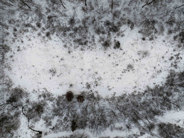 0 Elizabeth Scales Mound, ELIZABETH, Illinois 61028, ,Land,For Sale,Elizabeth Scales Mound,202507628