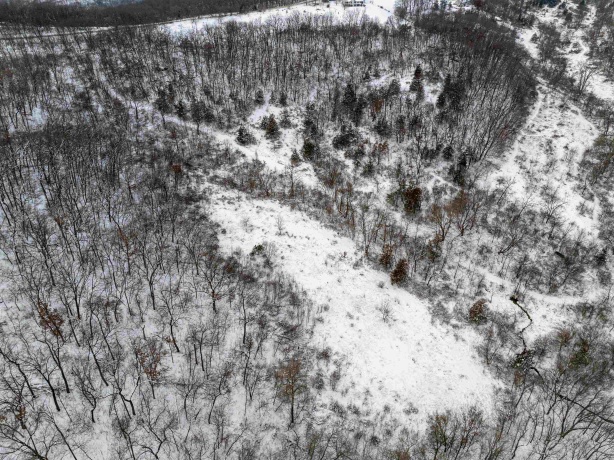 0 Elizabeth Scales Mound, ELIZABETH, Illinois 61028, ,Land,For Sale,Elizabeth Scales Mound,202507628