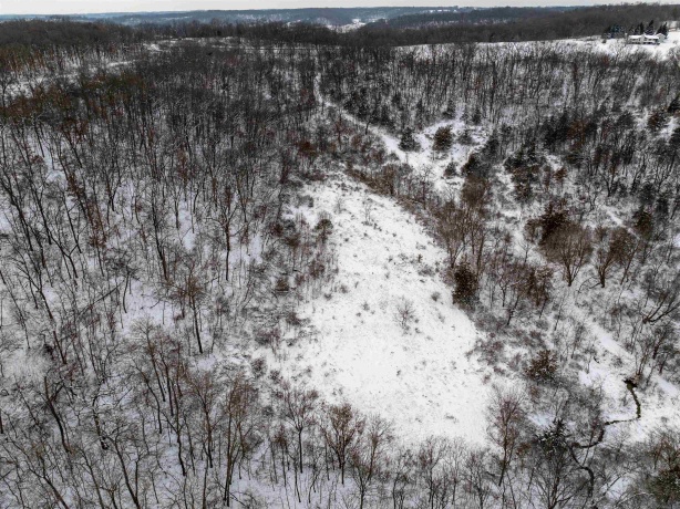 0 Elizabeth Scales Mound, ELIZABETH, Illinois 61028, ,Land,For Sale,Elizabeth Scales Mound,202507628