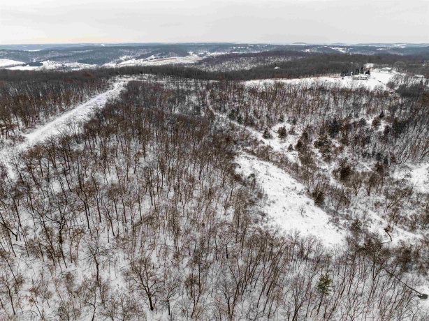 0 Elizabeth Scales Mound, ELIZABETH, Illinois 61028, ,Land,For Sale,Elizabeth Scales Mound,202507628