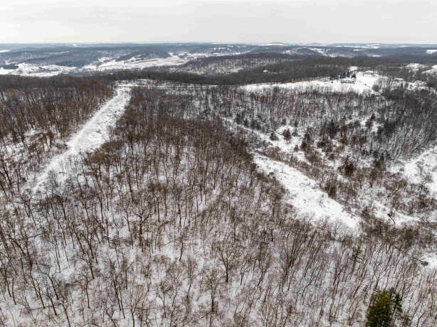 0 Elizabeth Scales Mound, ELIZABETH, Illinois 61028, ,Land,For Sale,Elizabeth Scales Mound,202507628