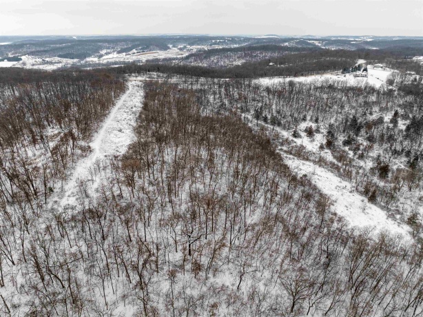 0 Elizabeth Scales Mound, ELIZABETH, Illinois 61028, ,Land,For Sale,Elizabeth Scales Mound,202507628