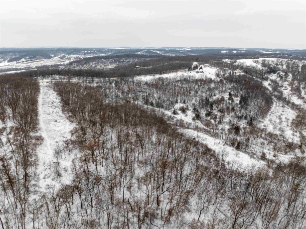 0 Elizabeth Scales Mound, ELIZABETH, Illinois 61028, ,Land,For Sale,Elizabeth Scales Mound,202507628