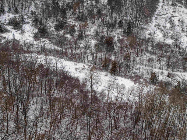 0 Elizabeth Scales Mound, ELIZABETH, Illinois 61028, ,Land,For Sale,Elizabeth Scales Mound,202507628