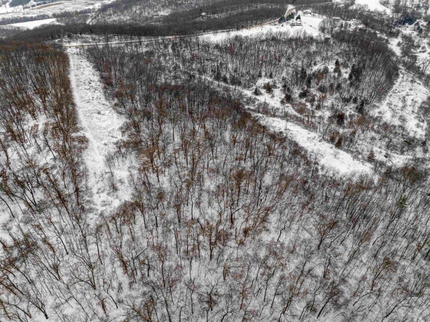 0 Elizabeth Scales Mound, ELIZABETH, Illinois 61028, ,Land,For Sale,Elizabeth Scales Mound,202507628