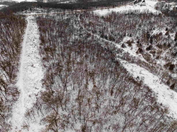 0 Elizabeth Scales Mound, ELIZABETH, Illinois 61028, ,Land,For Sale,Elizabeth Scales Mound,202507628