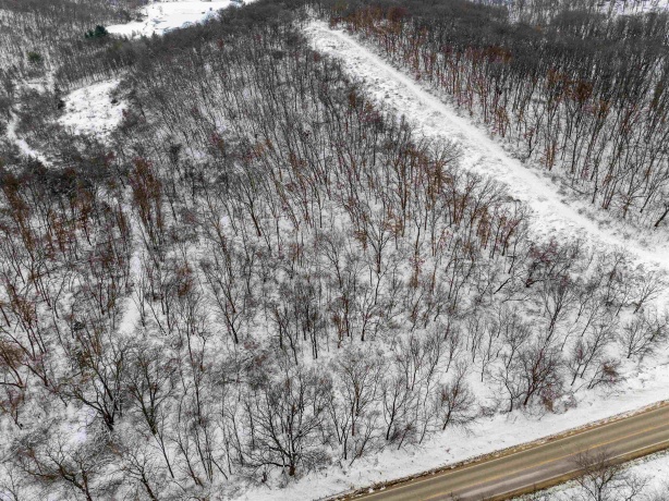 0 Elizabeth Scales Mound, ELIZABETH, Illinois 61028, ,Land,For Sale,Elizabeth Scales Mound,202507628