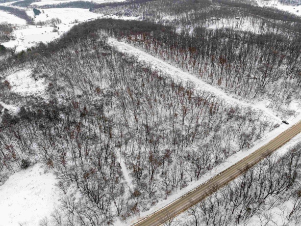 0 Elizabeth Scales Mound, ELIZABETH, Illinois 61028, ,Land,For Sale,Elizabeth Scales Mound,202507628