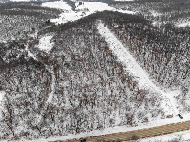 0 Elizabeth Scales Mound, ELIZABETH, Illinois 61028, ,Land,For Sale,Elizabeth Scales Mound,202507628