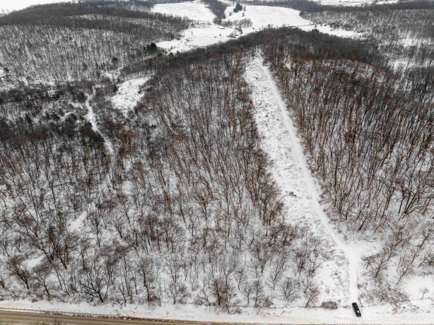 0 Elizabeth Scales Mound, ELIZABETH, Illinois 61028, ,Land,For Sale,Elizabeth Scales Mound,202507628