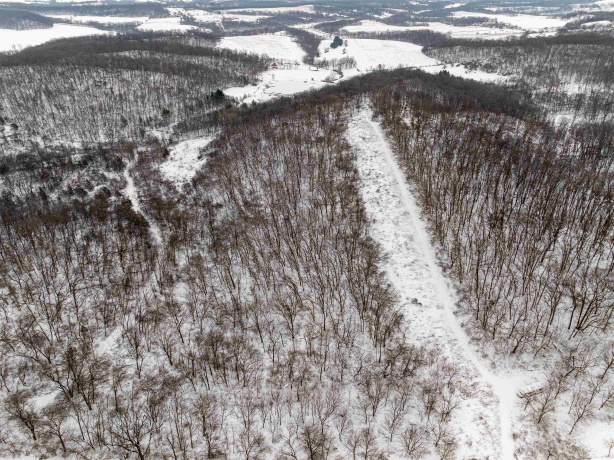 0 Elizabeth Scales Mound, ELIZABETH, Illinois 61028, ,Land,For Sale,Elizabeth Scales Mound,202507628