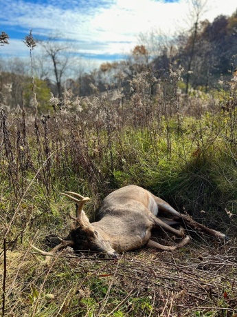 0 Elizabeth Scales Mound, ELIZABETH, Illinois 61028, ,Land,For Sale,Elizabeth Scales Mound,202507628