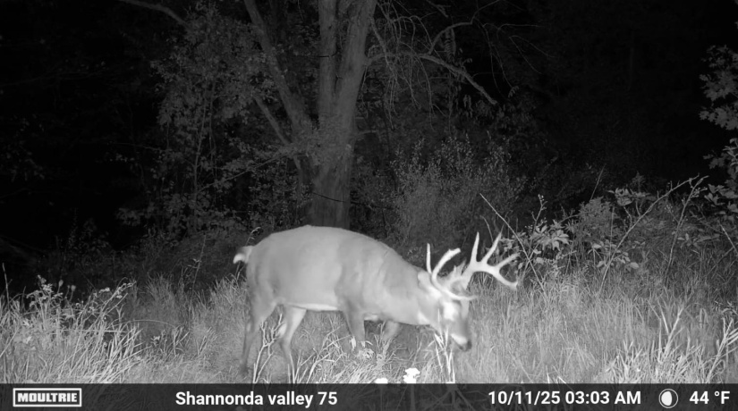 0 Elizabeth Scales Mound, ELIZABETH, Illinois 61028, ,Land,For Sale,Elizabeth Scales Mound,202507628