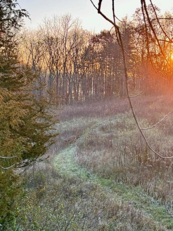 0 Elizabeth Scales Mound, ELIZABETH, Illinois 61028, ,Land,For Sale,Elizabeth Scales Mound,202507628