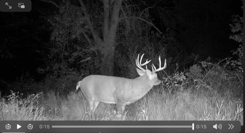 0 Elizabeth Scales Mound, ELIZABETH, Illinois 61028, ,Land,For Sale,Elizabeth Scales Mound,202507628