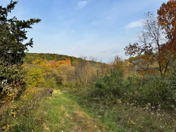 0 Elizabeth Scales Mound, ELIZABETH, Illinois 61028, ,Land,For Sale,Elizabeth Scales Mound,202507628