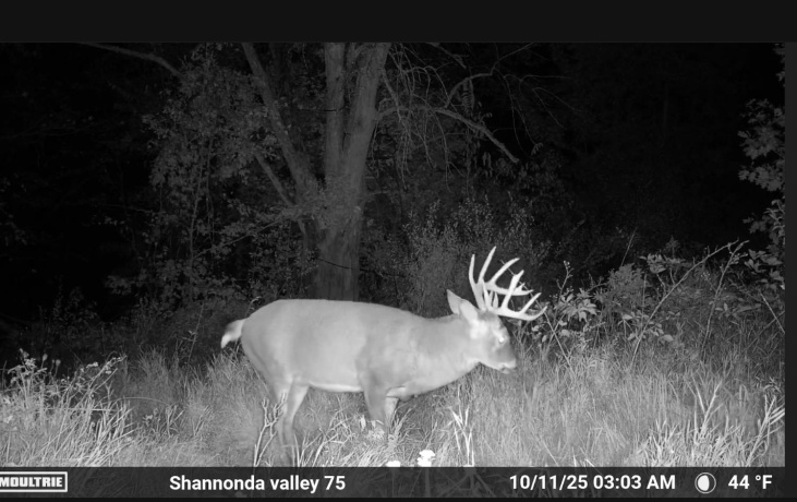 0 Elizabeth Scales Mound, ELIZABETH, Illinois 61028, ,Land,For Sale,Elizabeth Scales Mound,202507628