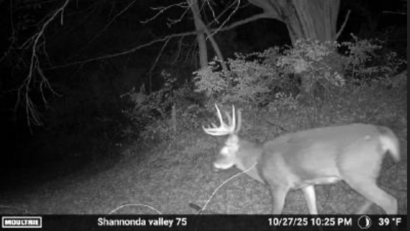 0 Elizabeth Scales Mound, ELIZABETH, Illinois 61028, ,Land,For Sale,Elizabeth Scales Mound,202507628