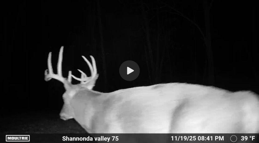 0 Elizabeth Scales Mound, ELIZABETH, Illinois 61028, ,Land,For Sale,Elizabeth Scales Mound,202507628