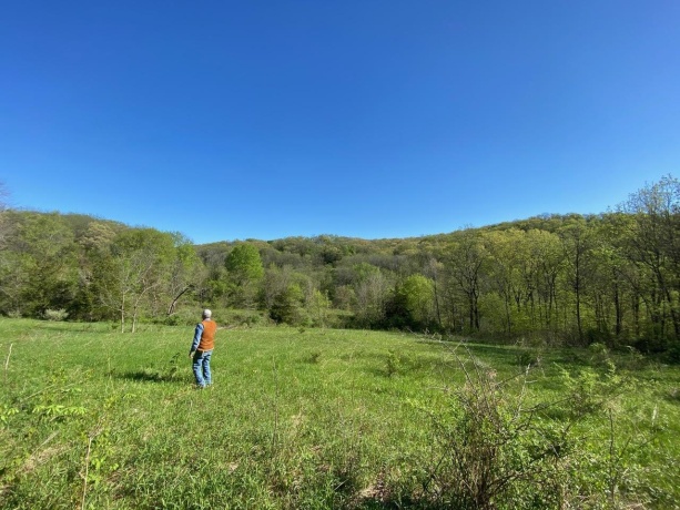 0 Elizabeth Scales Mound, ELIZABETH, Illinois 61028, ,Land,For Sale,Elizabeth Scales Mound,202507628