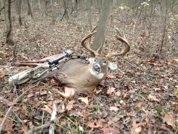 0 Elizabeth Scales Mound, ELIZABETH, Illinois 61028, ,Land,For Sale,Elizabeth Scales Mound,202507628