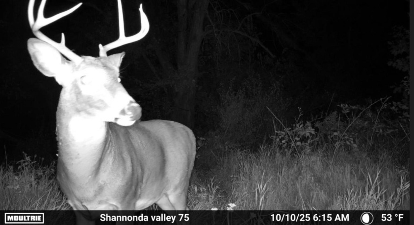 0 Elizabeth Scales Mound, ELIZABETH, Illinois 61028, ,Land,For Sale,Elizabeth Scales Mound,202507628