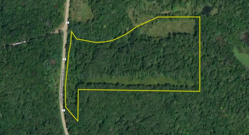 0 Elizabeth Scales Mound, ELIZABETH, Illinois 61028, ,Land,For Sale,Elizabeth Scales Mound,202507628