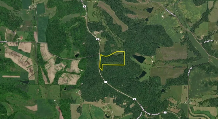 0 Elizabeth Scales Mound, ELIZABETH, Illinois 61028, ,Land,For Sale,Elizabeth Scales Mound,202507628