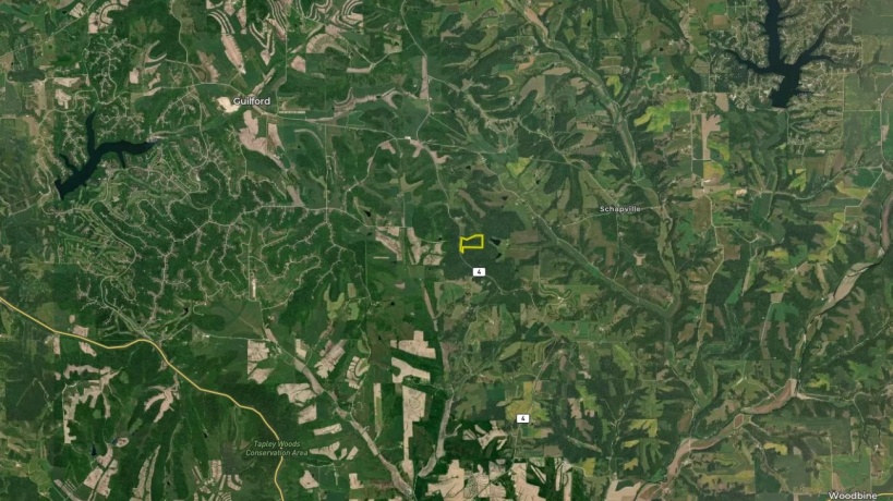 0 Elizabeth Scales Mound, ELIZABETH, Illinois 61028, ,Land,For Sale,Elizabeth Scales Mound,202507628