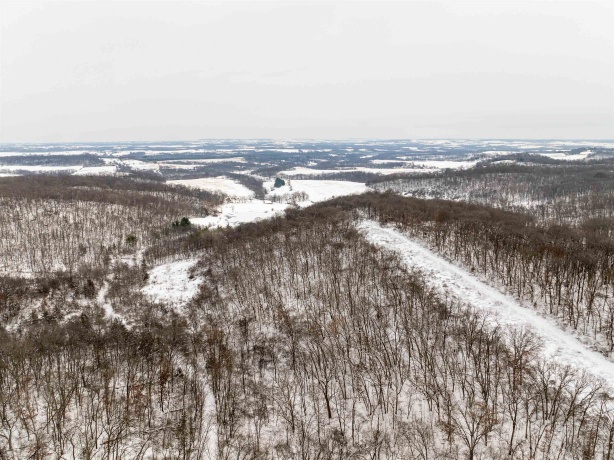 0 Elizabeth Scales Mound, ELIZABETH, Illinois 61028, ,Land,For Sale,Elizabeth Scales Mound,202507628