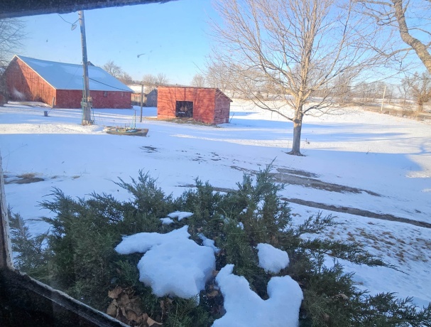 9202 TOWN HALL, BELVIDERE, Illinois 61008, ,Land,For Sale,TOWN HALL,202507635