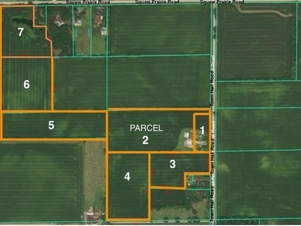 9202 TOWN HALL, BELVIDERE, Illinois 61008, ,Land,For Sale,TOWN HALL,202507635